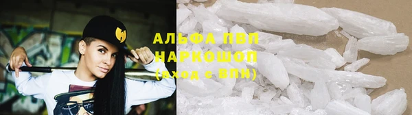 эйфоретик Белокуриха