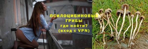 эйфоретик Белокуриха